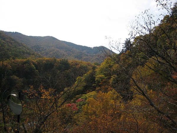玄関から山間の紅葉を望む